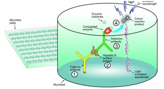 時間分辨熒光微孔板超敏檢測技術
